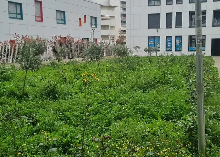 Odahousetirana