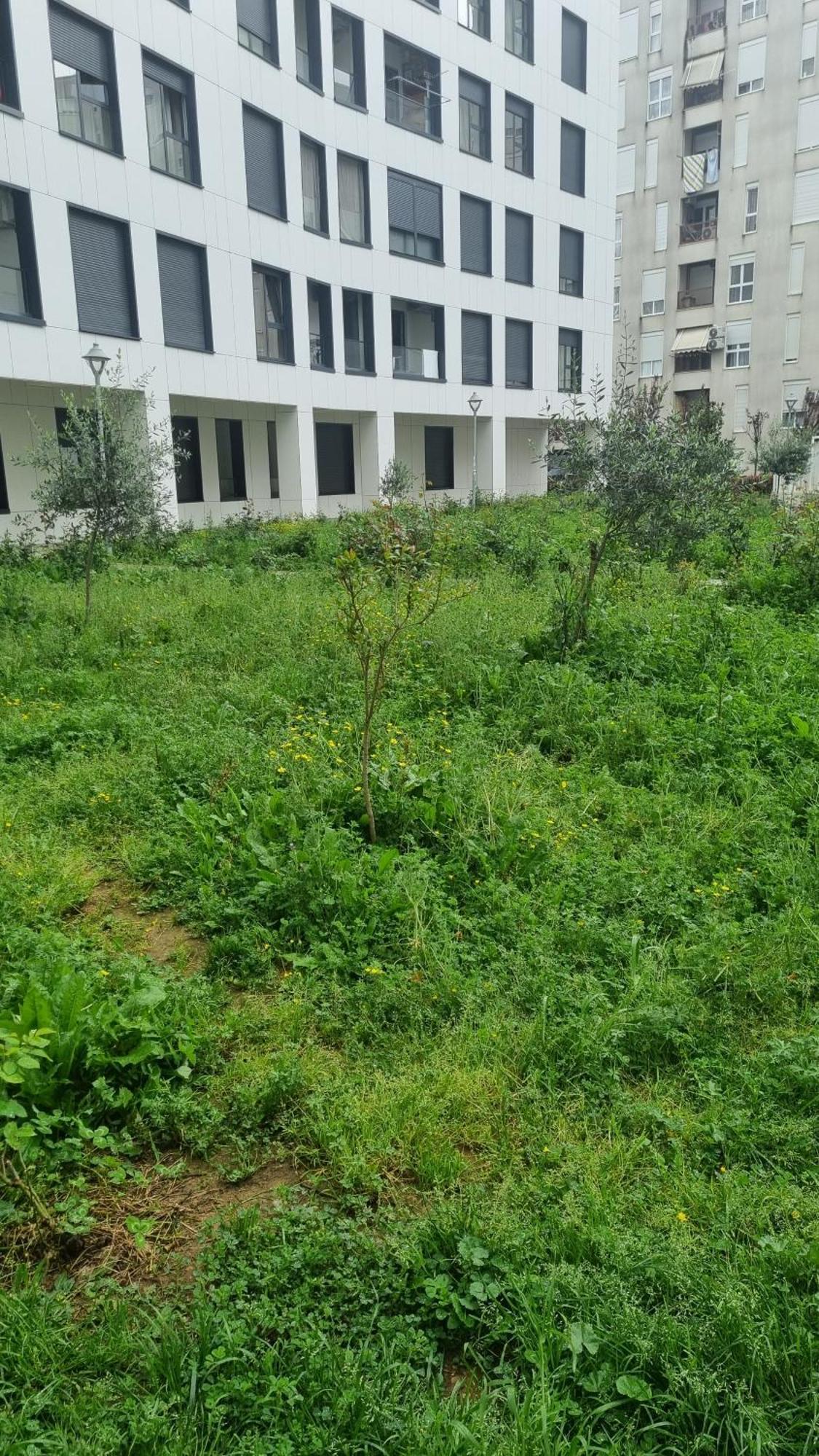 Apartman Odahousetirana Tirana