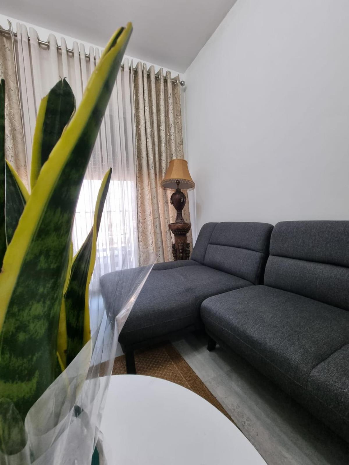 Odahousetirana *